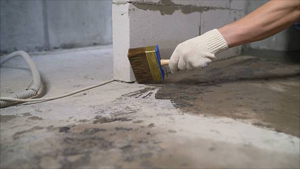 SJ Waterproofing Pros Waterproofing coverage map for Cedar Springs, MI and surrounding area